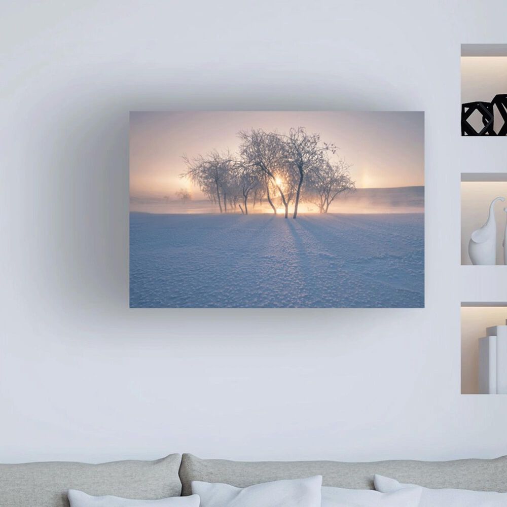 Timberlake Bingo Z "Swan Lake" 30" x 47" Canvas Art, , large