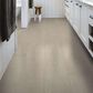Shaw Ascent Natural Bevel Tundra 9" x 72" Vinyl Plank, , large
