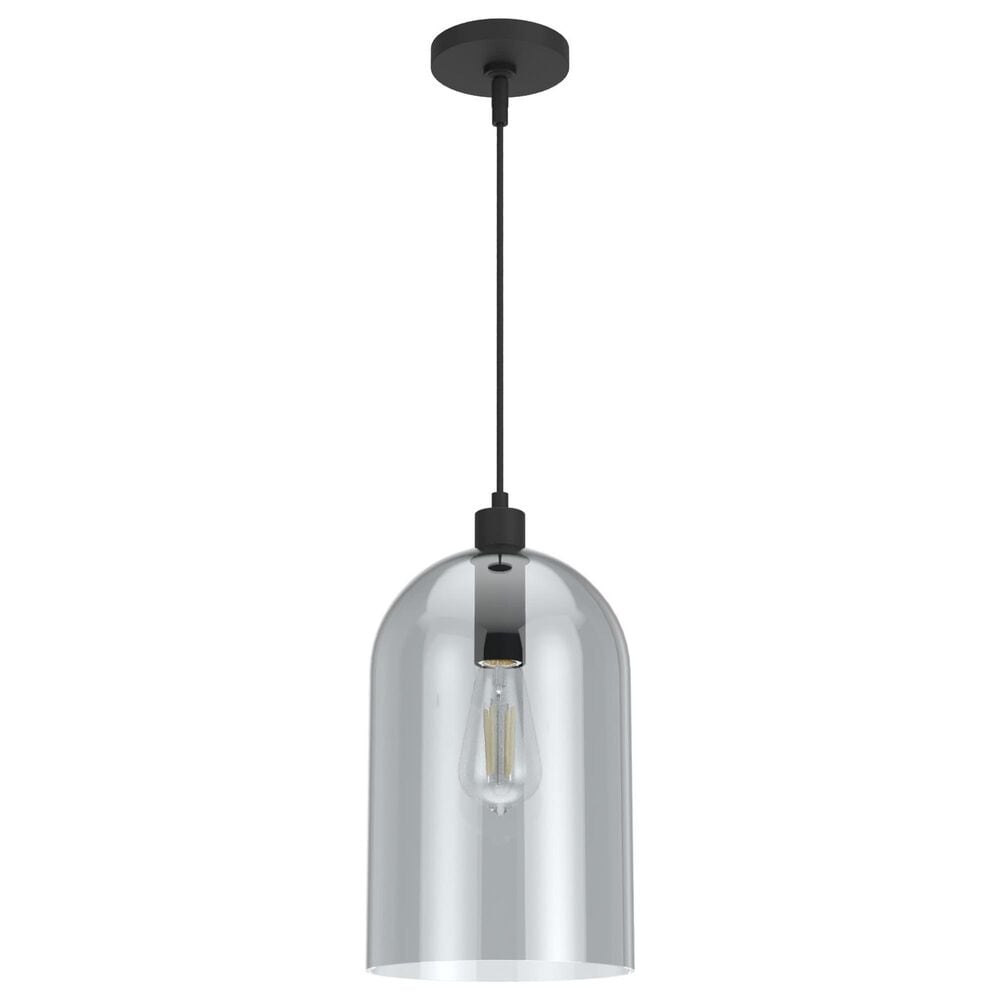 Hunter Lochmeade 1-Light Large Pendant in Natural Iron, , large