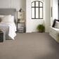 Shaw Hard At Play Iii Carpet in Glacier, , large