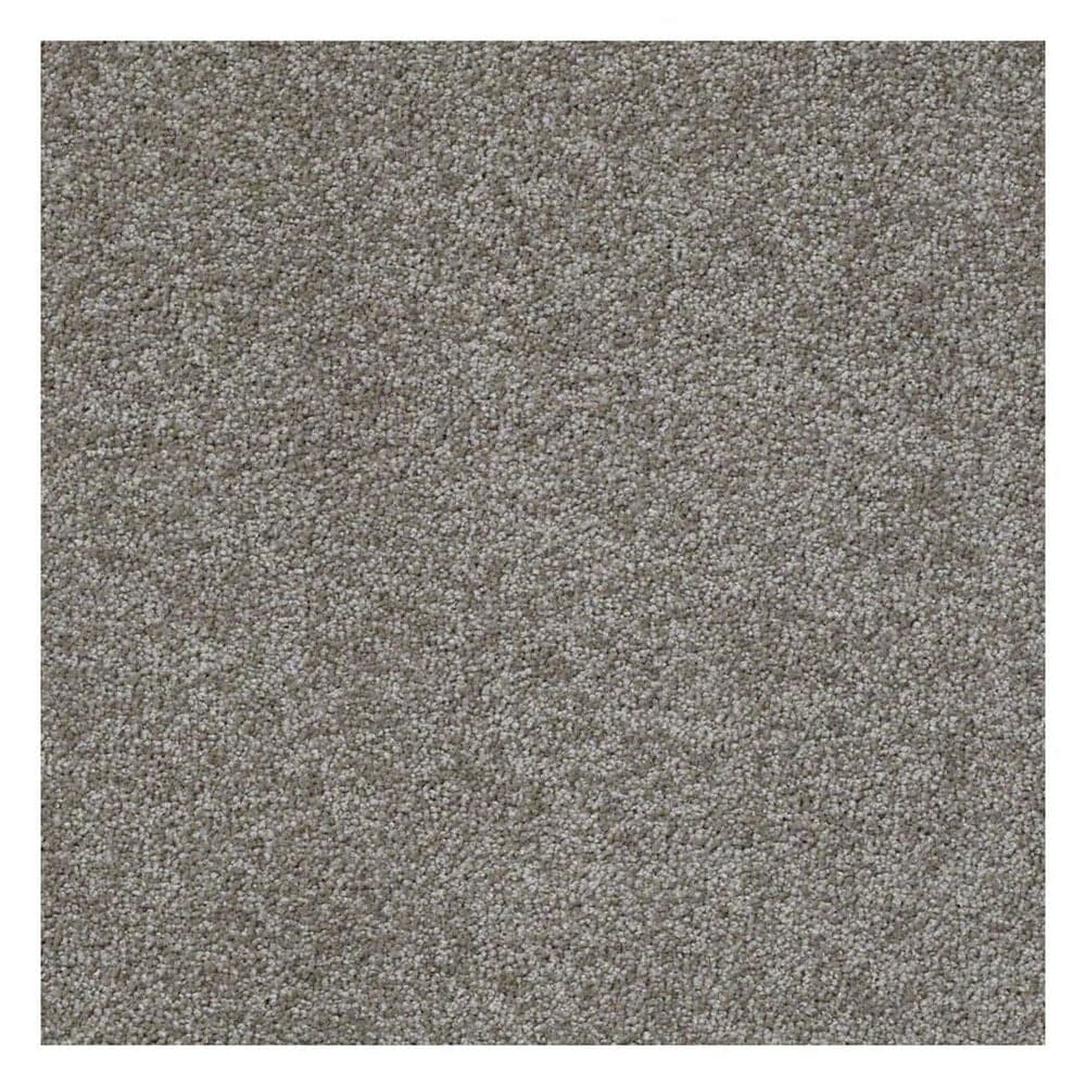Shaw Something Sweet Carpet in Barn Wood, , large