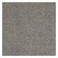 Shaw Something Sweet Carpet in Barn Wood, , large
