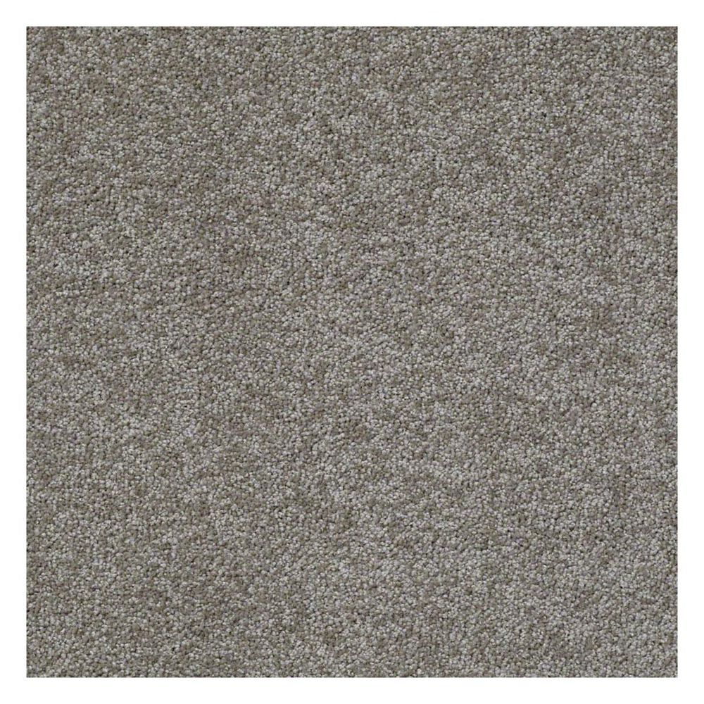 Shaw Something Sweet Carpet in Barn Wood, , large