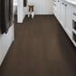 Shaw Northern Voyage 9 Rutherford 9" x 60" Luxury Vinyl Plank, , large
