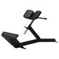 FreeMotion 45-Degree Back Extension in Black, , large