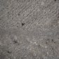 RIZZY Lofton 5" x 7"6" Rug, , large