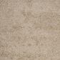Safavieh Athens Shag SGA119G-10 10" x 14" Beige Area Rug, , large