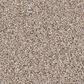 Shaw Pure Affection T Carpet in Baja, , large