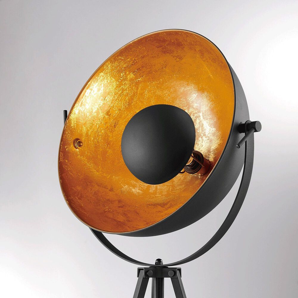 Lite Source Gothard Floor Lamp in Black, , large