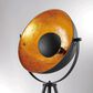 Lite Source Gothard Floor Lamp in Black, , large