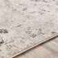 Surya Indigo IGO-2318 2" x 2"9" Gray, Beige and White Scatter Rug, , large