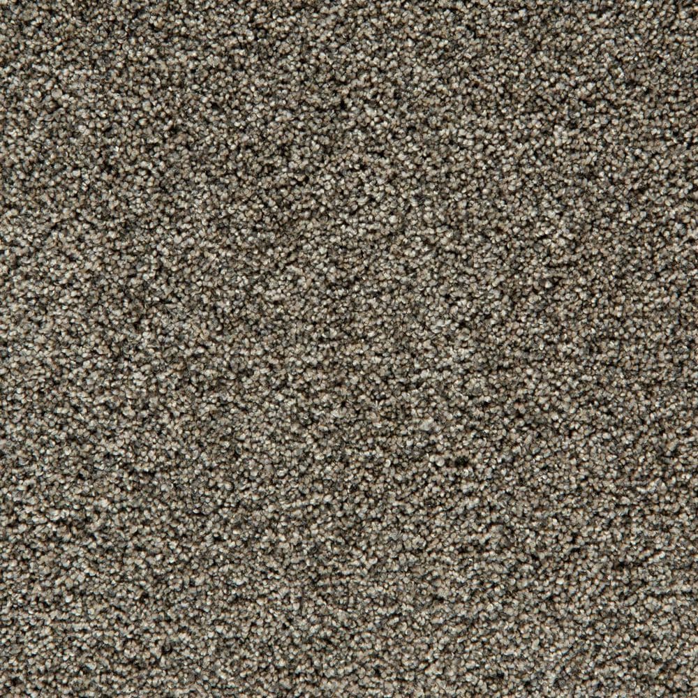 Mohawk Cozy Companion I Carpet in Slate, , large
