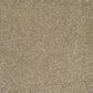 Dream Weaver Astounding III Carpet in Amberwood, , large