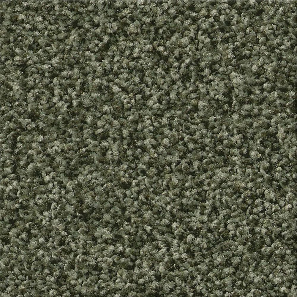 Shaw Tonal Comfort Blue Carpet in Olive Grove, , large