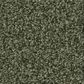 Shaw Tonal Comfort Blue Carpet in Olive Grove, , large
