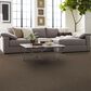 Shaw Yes You Can II Carpet in Worn Path, , large