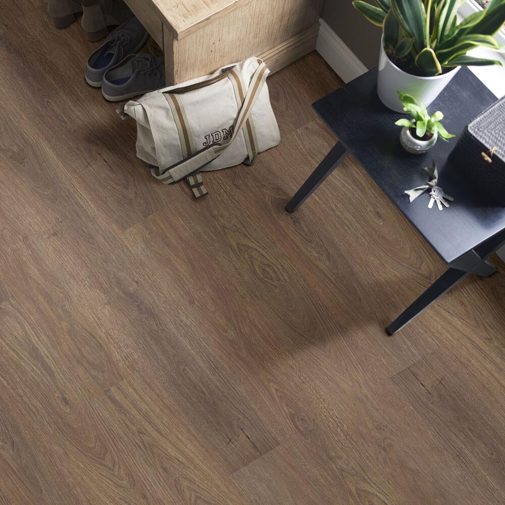 Shaw Paladin Plus 7&quot; x 48&quot; Vinyl Plank in Boardwalk, , large