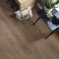 Shaw Paladin Plus 7" x 48" Vinyl Plank in Boardwalk, , large