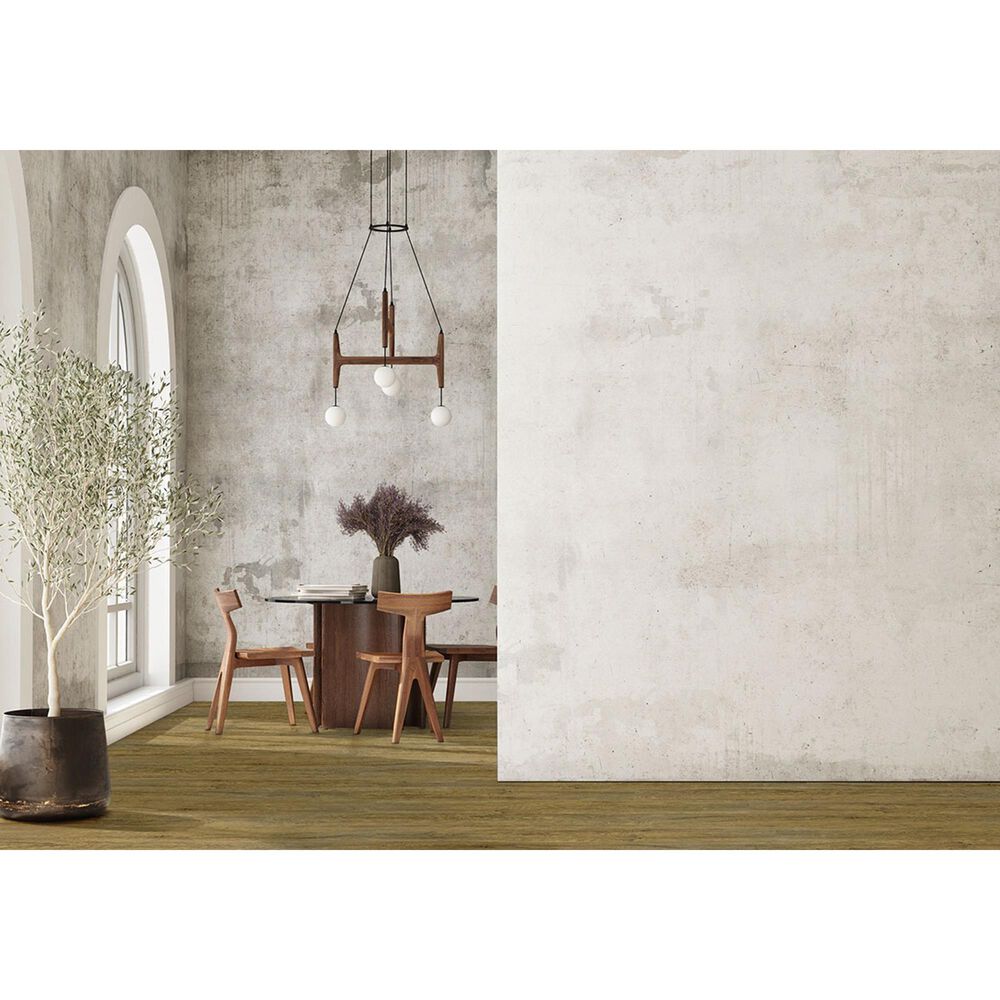 MS International Ashton Colston Park 7&quot; x 48&quot; Vinyl Plank, , large