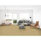 Dixie Home Simplicity Carpet in Taffy, , large