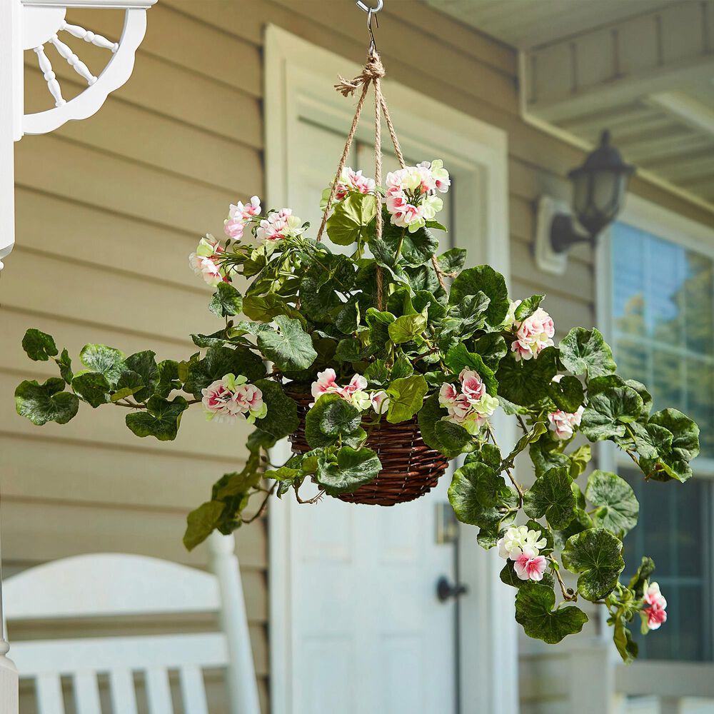 Timberlake Pure Garden Geranium Hanging Arrangement in Pale Pink, , large