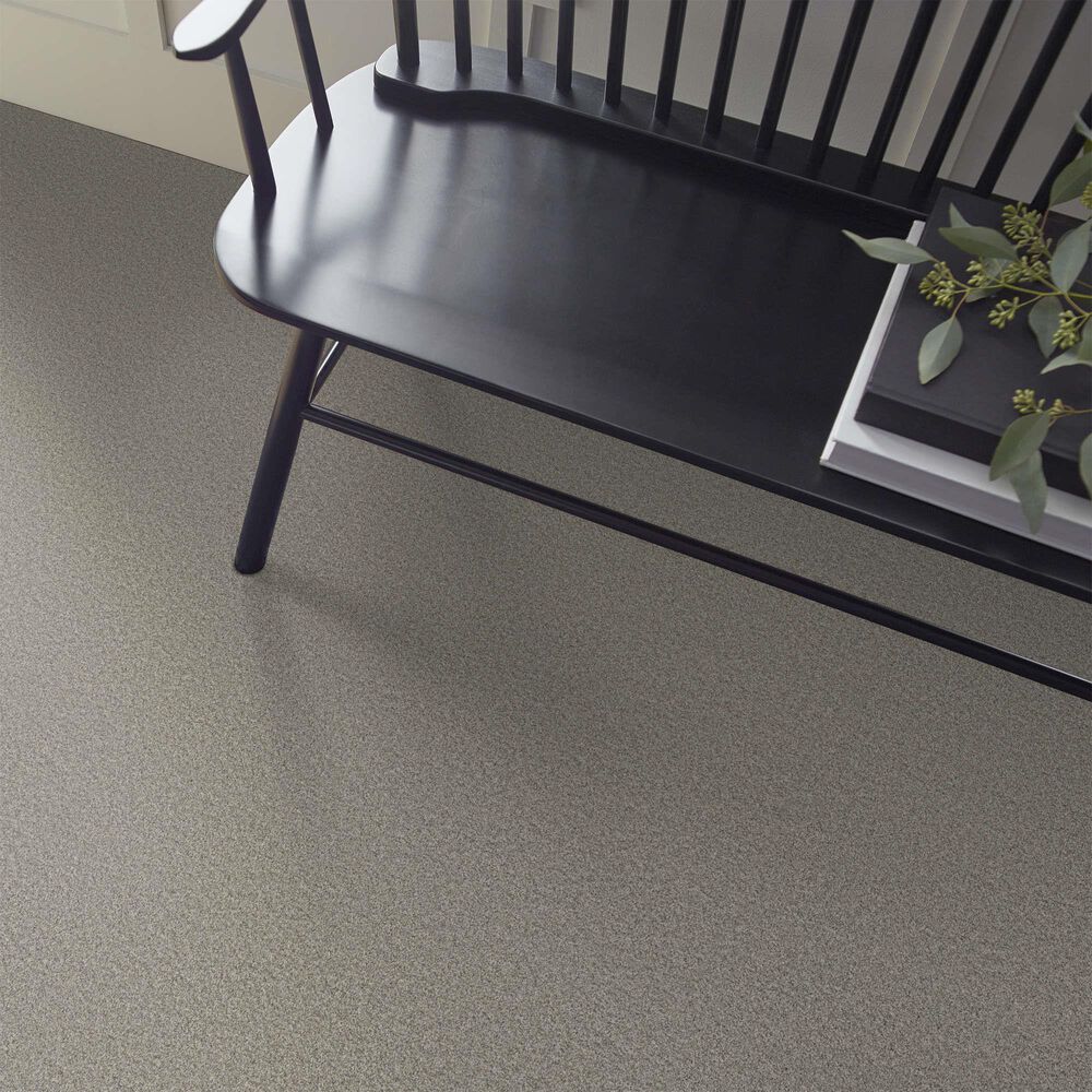 Shaw Tonal Comfort II Carpet in Back Patio, , large
