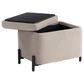 Lifestyle Solutions Kona Small Storage Ottoman in Taupe, , large