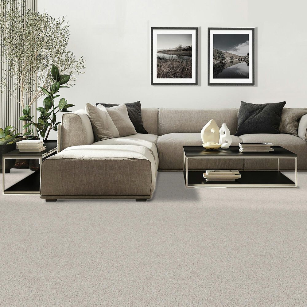 Mohawk Diffurent Choice II Carpet in Haze, , large