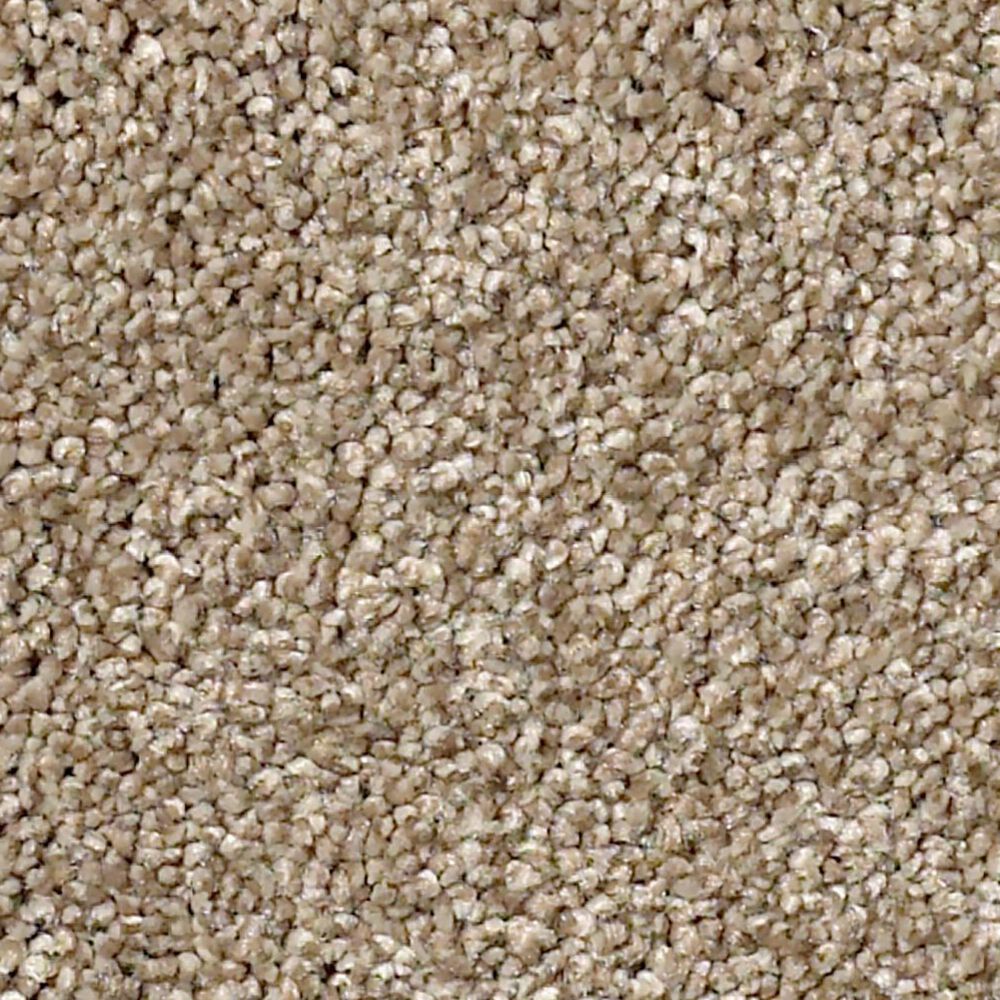 Shaw Find Your Comfort NS II Carpet in Camping Trip, , large