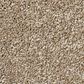Shaw Find Your Comfort NS II Carpet in Camping Trip, , large