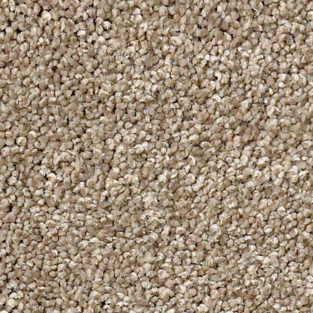 Shaw Find Your Comfort NS II Carpet in Camping Trip, , large