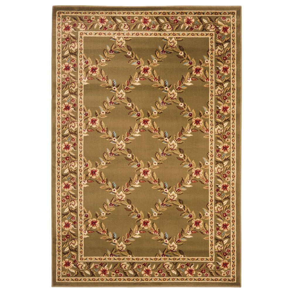 Safavieh Lyndhurst LNH557 4" x 6" Brown Area Rug, , large