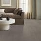Anderson Tuftex Caboodle Carpet in Connected, , large