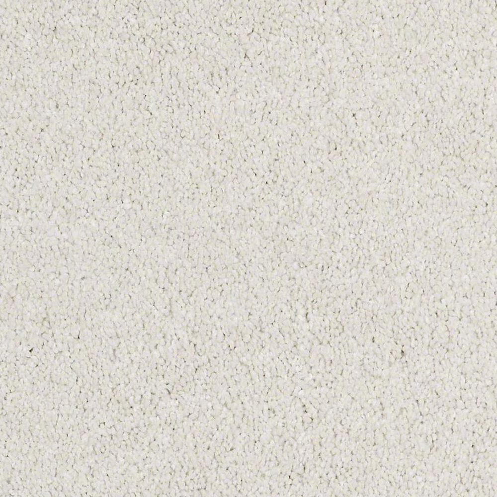 Shaw Barracan Classic IV Carpet in Suffolk, , large