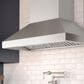 Zephyr Pro Titan Wall 42" Chimney Wall Mount Range Hood in Stainless Steel, , large