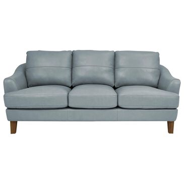 Italiano Furniture Palmer Stationary Sofa in Ice, , large