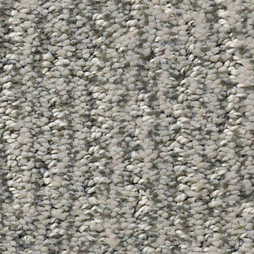Anderson Tuftex Fur-Ever Carpet in Rockport, , large