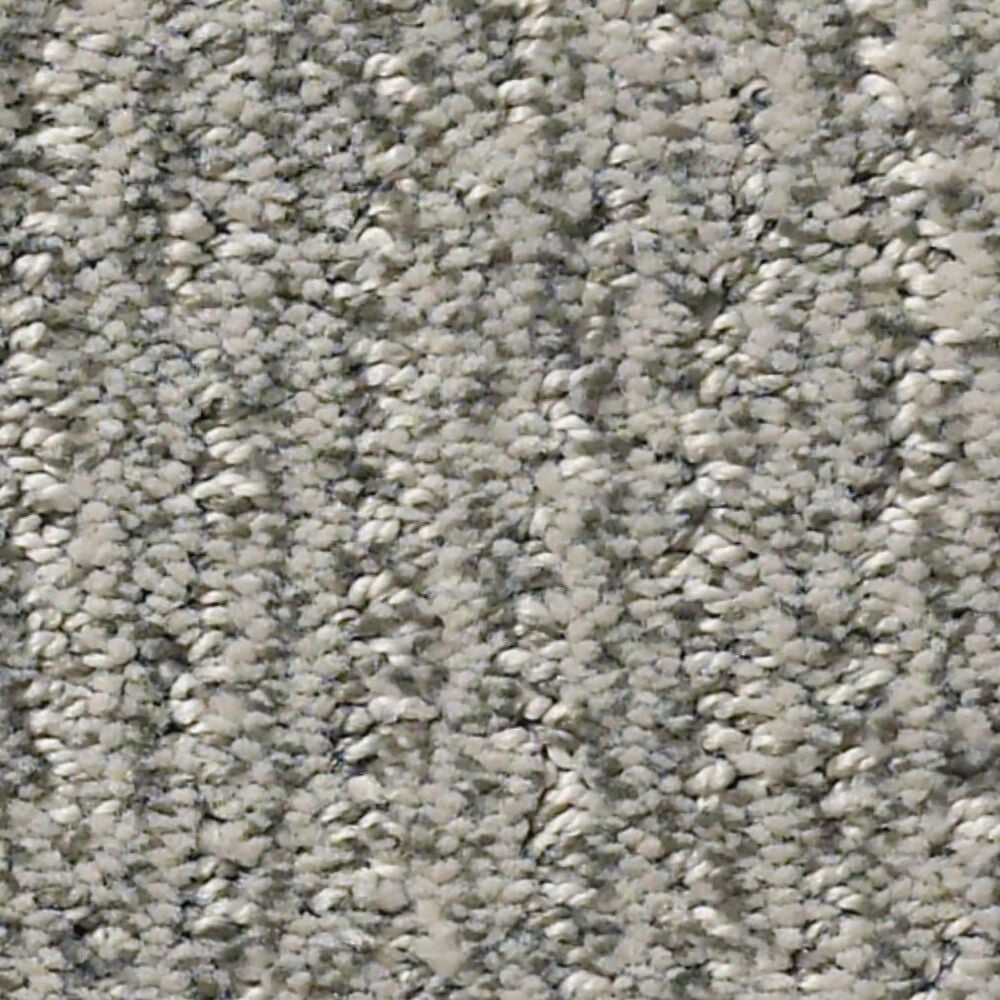 Anderson Tuftex Fur-Ever Carpet in Rockport, , large