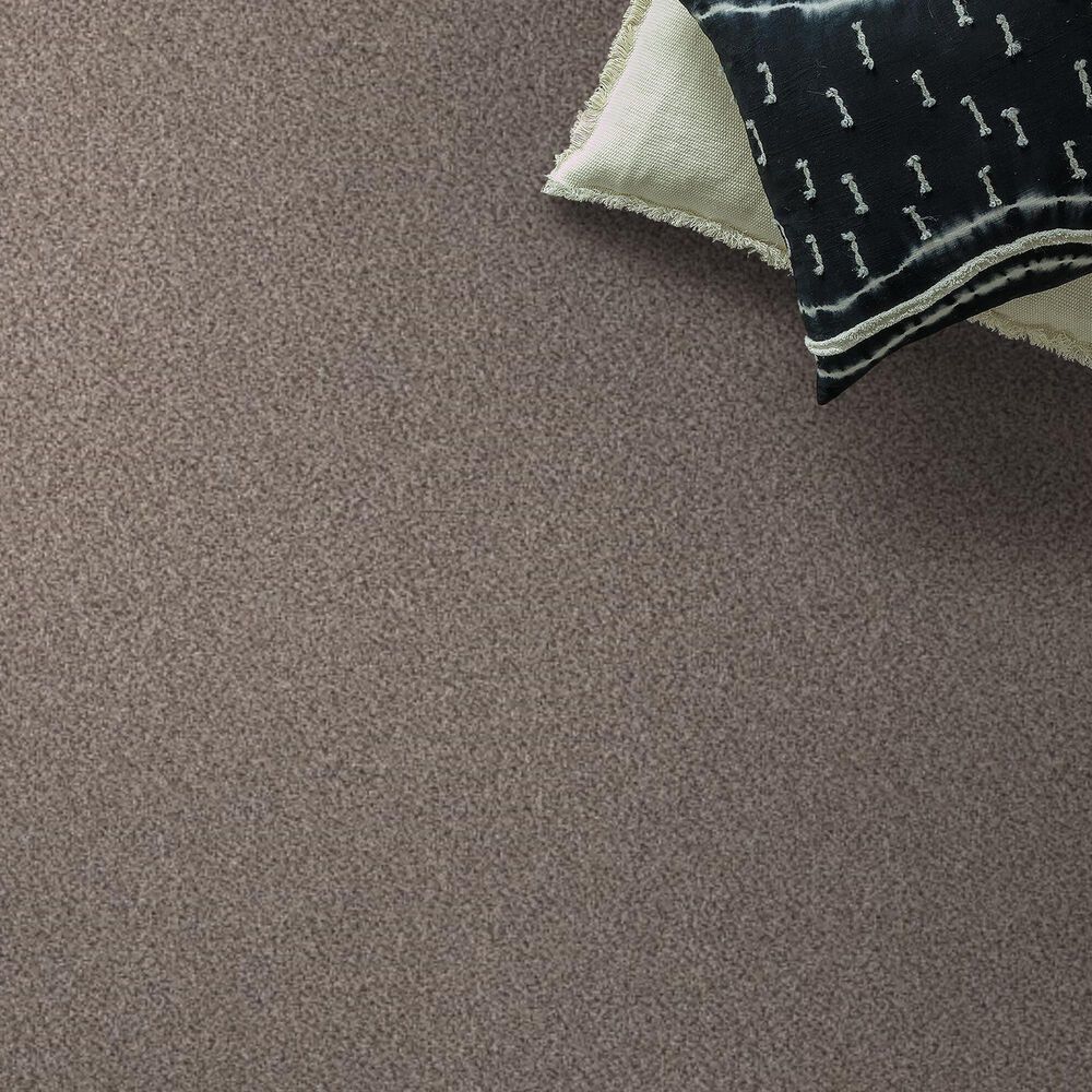 Shaw Truspirit Ii Carpet in Concrete, , large