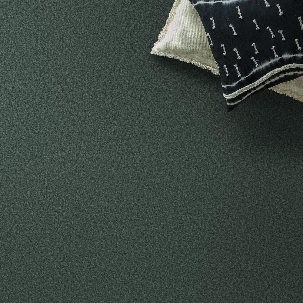 Shaw Tonal Comfort Ii Carpet in Bold Moves, , large