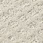 Shaw Foundations Formalize Carpet in Fossil Path, , large