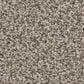 Anderson Tuftex Avalon Bay Carpet in Pashmina, , large