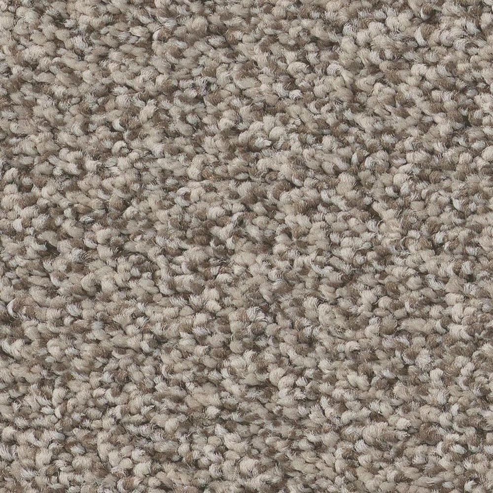 Anderson Tuftex Avalon Bay Carpet in Pashmina, , large
