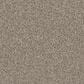 Godfrey-Hirst Candor Carpet in Versatile, , large