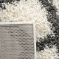 Safavieh Dallas Shag 8" x 10" Ivory and Dark Grey Area Rug, , large