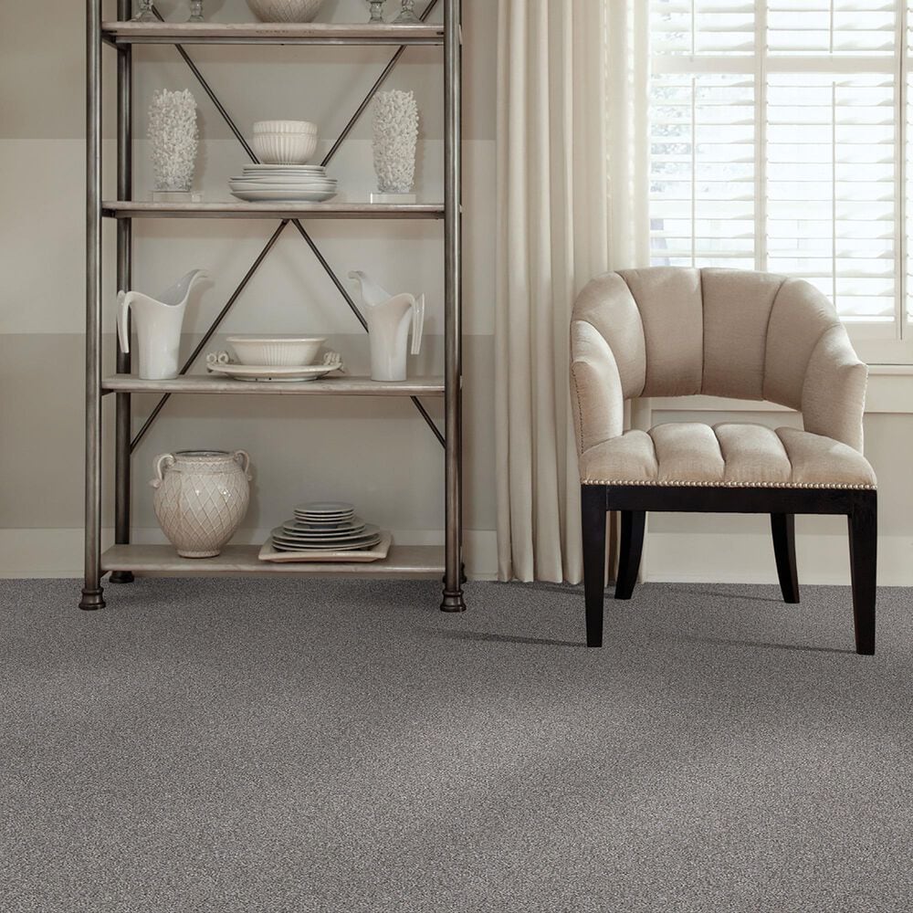 Shaw Just Right II Carpet in Cedar Ridge, , large