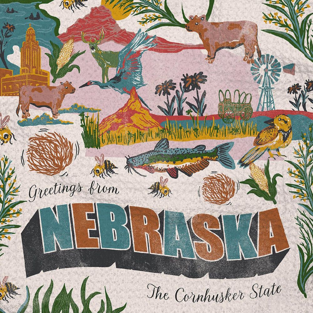 Geometry Greetings From Nebraska Dishcloth in Multicolor (Set of 3), , large