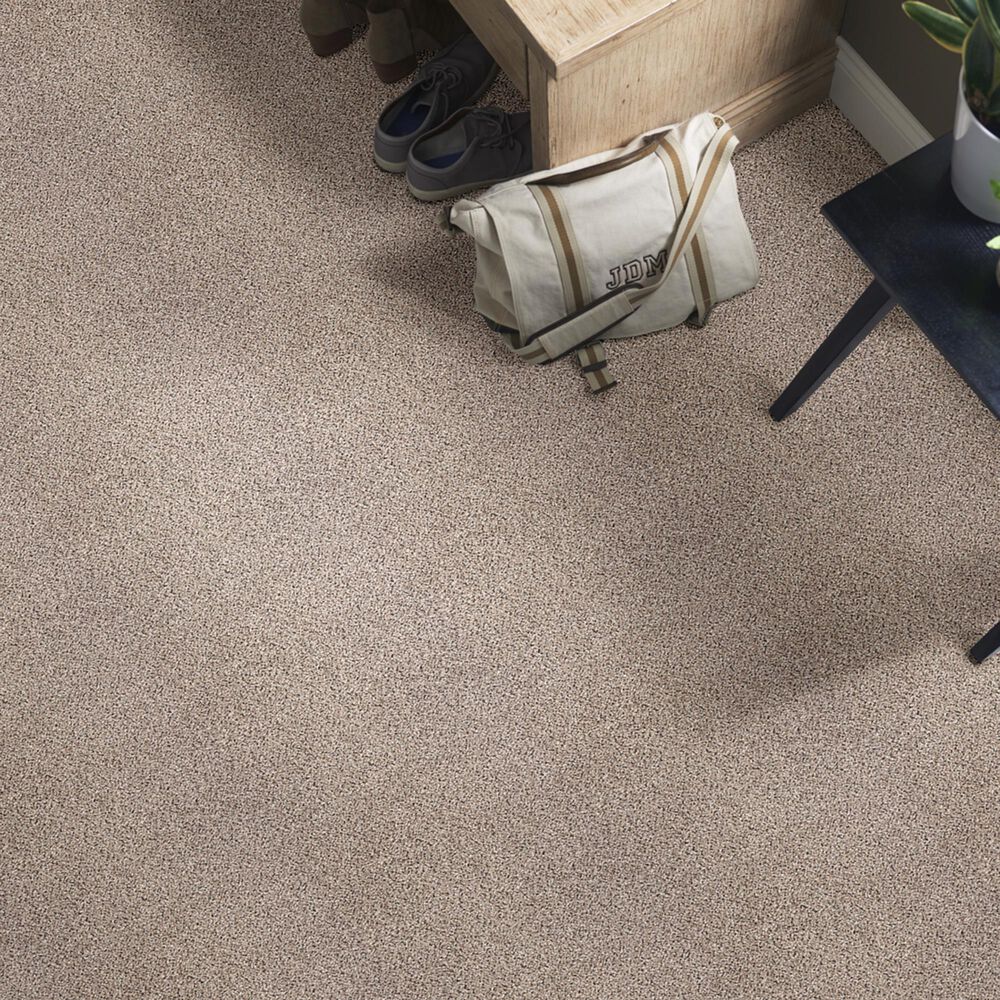 Shaw Foundations Take The Floor Accent I Carpet in Everest, , large