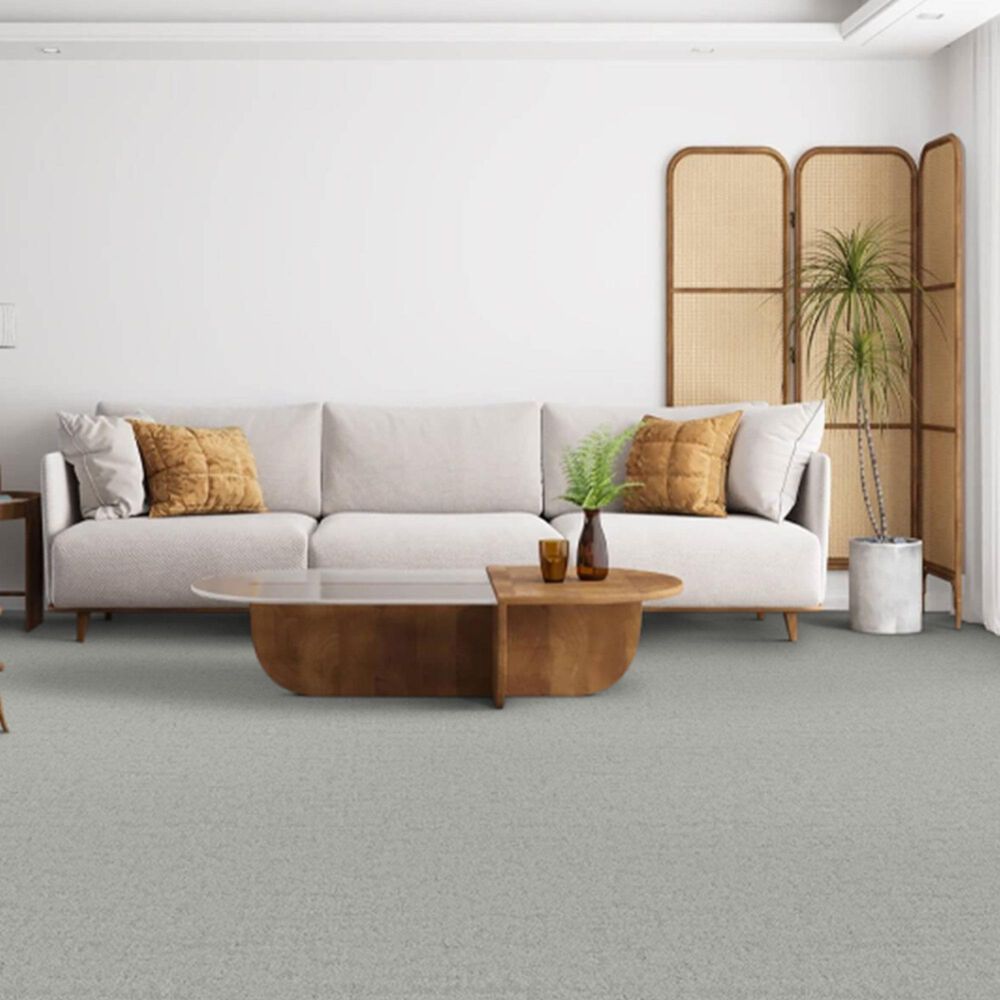 Dixie Home Genuine Carpet in Credible, , large