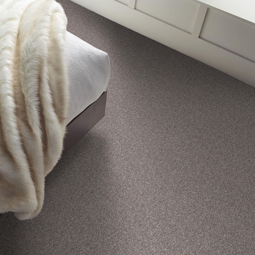 Shaw Inlet Shore I Carpet in French Buff, , large
